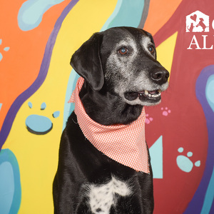 Fundraising Page: Axel Fields